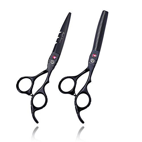Purple Dragon Professional Barber Hair Cutting Scissor and Thinning Shear Set in 6 (A-Silver-6.0)