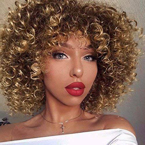 AISI QUEENS Afro Wigs For Black Women Short Kinky Curly Full Wigs Brown Mixed Blonde Synthetic Heat Resistant Wigs For African Women With Wig Cap