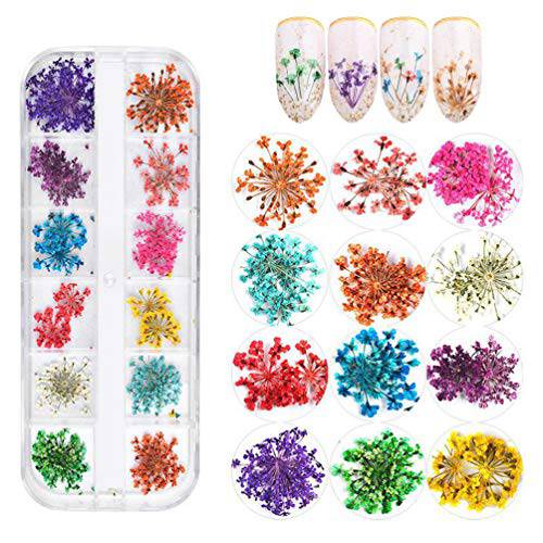 12 Colors Dried Flowers for Nail Art, KINGMAS 1 Box Dry Flowers Mini Real Natural Flowers Nail Art Supplies 3D Applique Nail Decoration Sticker Decor (A)