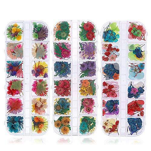324PCS Dried Flowers Nail Art - Nail Art Accessories Kits, 81 Color Lovely Natural Nail Art, Dried Flowers for Resin Molds, Dry Flowers for Nails, YWLI