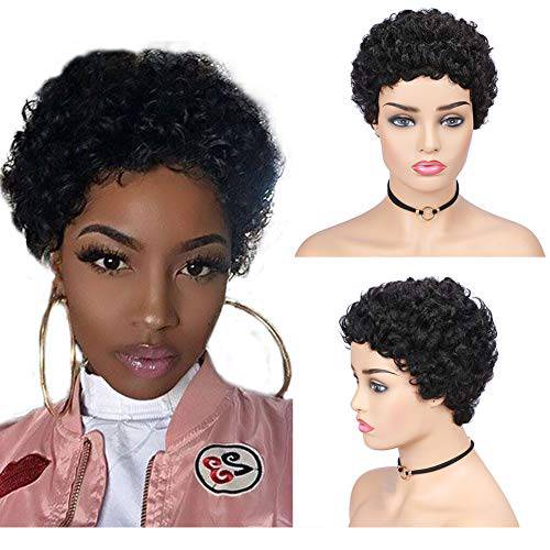 HANNE Short Curly Pixie Cut Human Hair Wigs 100% Remy Brazilian Soft Hair Curly Cut Pixie Human Wigs for Black Women Glueless Human Hair (Natural Black)