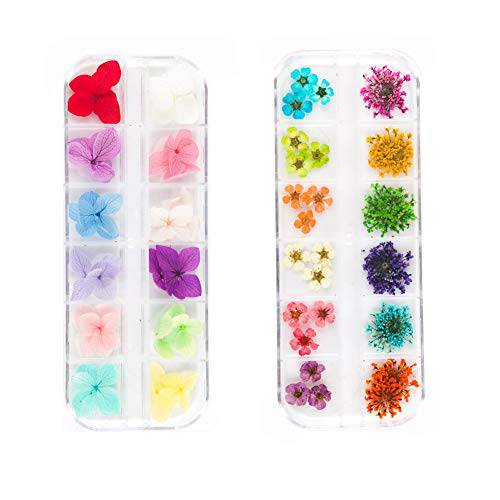 UOROMINE Dried Flowers Nail Art Design Decoration Supplies Real Natural Flowers Manicure Nail Art Decoration 2 Boxes 24 Colors (Stlye 2)