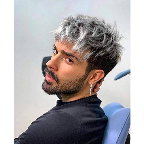 SEVENCOLORS Mens Wig Short Grey Wigs for Men Male Layered Natural Short Silver Mixed Black Wigs Synthetic Gray Wigs Short Hair Cosplay Halloween Daily Wig