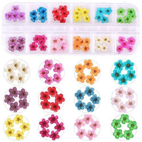LPOne 60 pcs 3D Nails Dried Flowers Resin Accessories Mini Natural for Nail Art Supplies Decal Mixed Accessory Starry Flower Stickers Colorful Dry Decals(12 Colors)., 2.8 x 0.75 0.67 inches