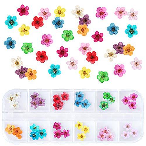1 Box Dried Flowers for Nail Art, UNIME 12 Colors Dry Flowers Mini Real Natural Flowers Nail Art Supplies 3D Applique Nail Decoration Sticker for Tips Manicure Decor (Flowers)