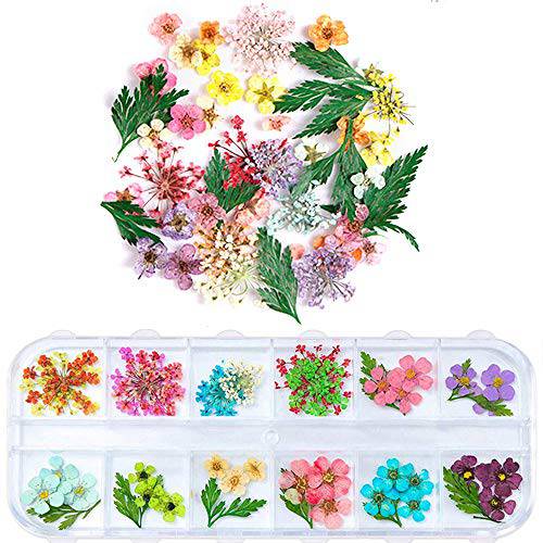 1 Box Dried Flowers for Nail Art, UNIME 16 Colors Dry Flowers Mini Real Natural Flowers Nail Art Supplies 3D Applique Nail Decoration Sticker for Tips Manicure Decor (Mixed Gypsophila Flowers)