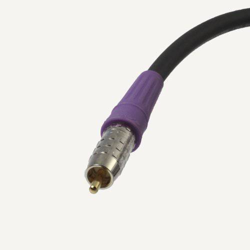 Blue Jeans CableLC-1 Double-Shielded Low Capacitance 서브우퍼 케이블, 10 Foot, 블랙