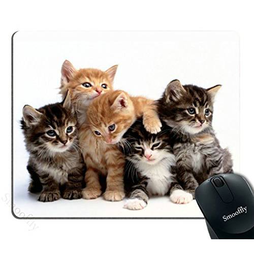 Smooffly 고양이 마우스 패드 for Computers, 새끼고양이 패밀리 고양이 마우스 패드