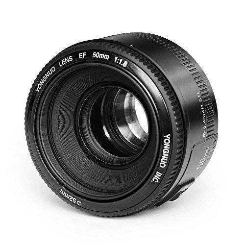 Yongnuo YN50mm F/ 1.8 렌즈 라지 조리개 AF 렌즈 in 블랙 캐논 EOS Rebel 디지털 카메라+ INSEESI 클린 천 (LYSB01535NNGY-ELECTRNCS)