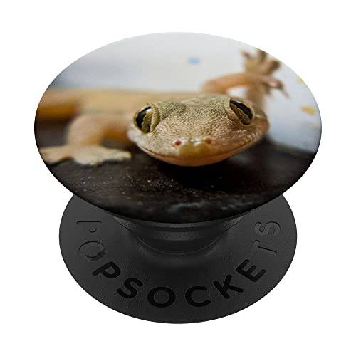도마뱀 Reptile Gecko PopSockets 스왑가능 PopGrip