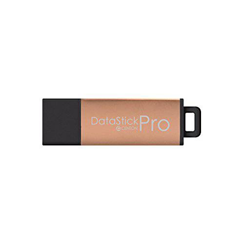 Centon Electronics S1-U2P30-64G USB 2.0 Datastick 프로 (로즈 골드 메탈릭,메탈), 64GB