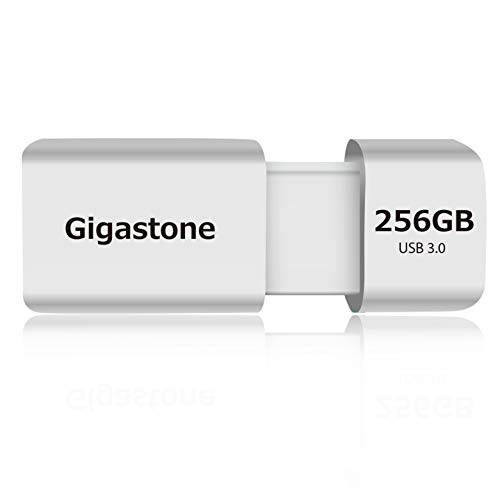 Gigastone Z60 256GB USB 3.1 플래시드라이브, R/ W 120/ 60 MB/ s 울트라 고속 펜 드라이브, Capless 접이식 Design 썸 드라이브, USB 2.0/ USB 3.0 인터페이스 호환가능한