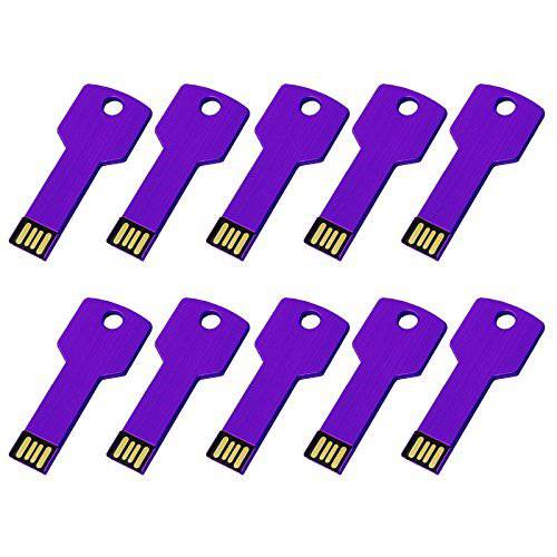RAOYI 10PCS USB 플래시드라이브 메탈 키 Memroy 스틱 썸 드라이브 점프 드라이브 (2G, 퍼플)