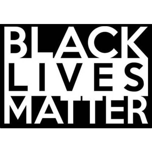블랙 Lives Matter 화이트 데칼,스티커 Vinyl Sticker|Cars 트럭 밴 벽 노트북| 화이트 |5.5 x 3.5 in|brandnameeng 493