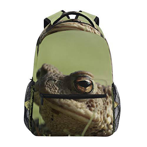 백팩 패션 노트북 데이팩 Frog Toad 동물 여행용 백팩 여성용 남성용 걸 보이 학교가방 대학 학교 백 캔버스