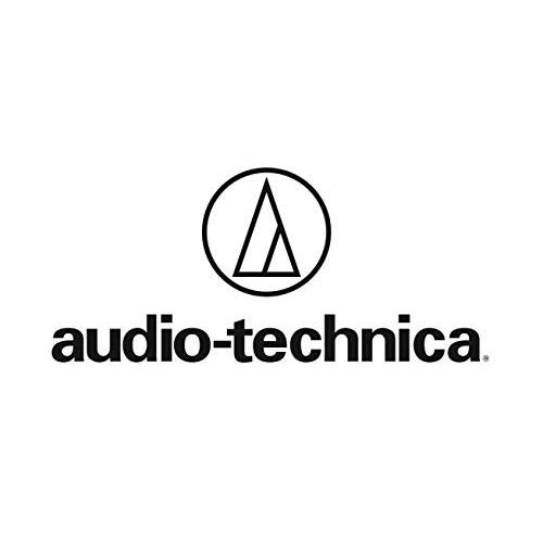 Audio-Technica  무선 시스템 마이크,마이크로폰 케이스 (ATWRC2)