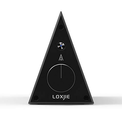 LOXJIE A10 데스크탑 스테레오 파워 앰프 디지털 Class-D High-Power 오디오애호가 레벨 앰프 칩 TPA3116 (레드)