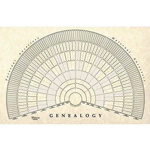 TreeSeek ® Genealogy 팬 벽면 차트 | 라지 공백 가능 Pedigree 폼 패밀리 History and Ancestry