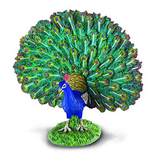 CollectA Farm Life Peacock 장난감 피규어 - Authentic 손으로채색한 모델