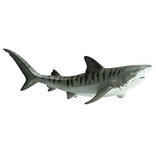 Safari Ltd WS 바다 Life 호랑이 Shark