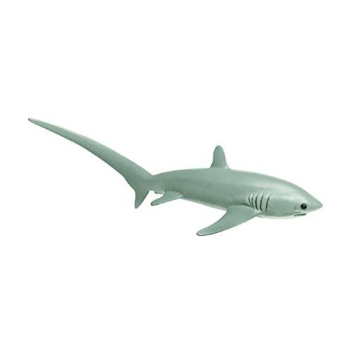 Safari Ltd. Wild 사파리 바다 Life Thresher Shark