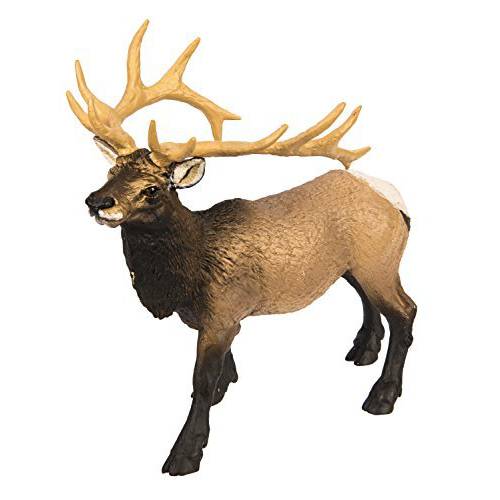 사파리 Ltd Wild 사파리 북쪽 아메리칸 야생동물 Elk Bull