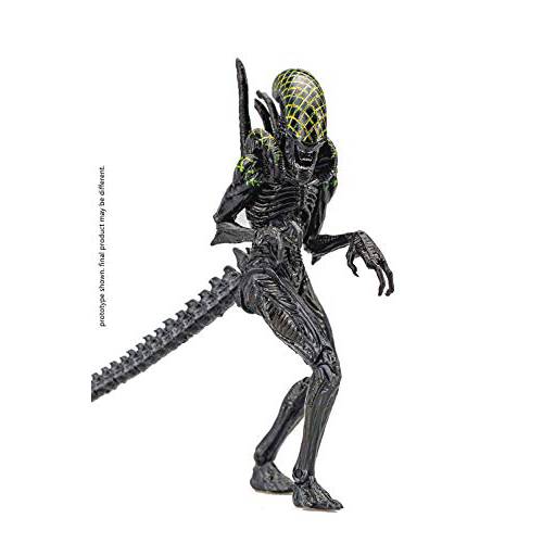 Hiya Toys Alien VS. 프레데터: 그리드,격자무늬 Alien 1:18 스케일 액션 피규어, 다양한색